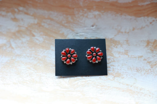 Coral Clusters
